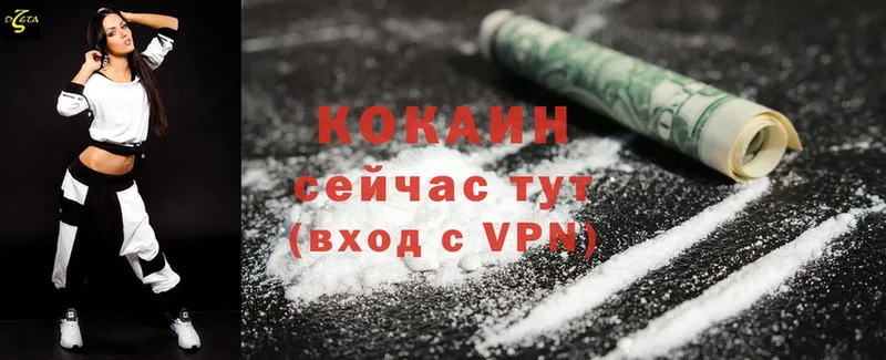 Cocaine Fish Scale  маркетплейс как зайти  Красный Кут  ОМГ ОМГ ONION 