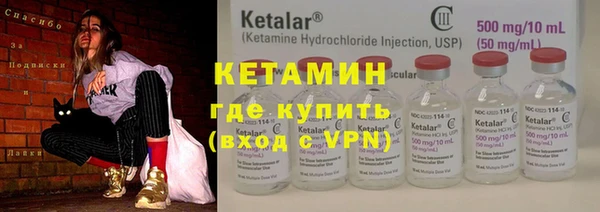 герыч Кедровый