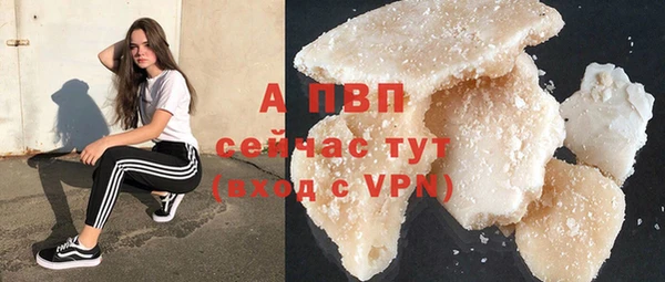 гашик Кирсанов