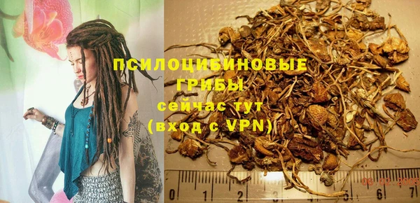 не бодяженный Осташков